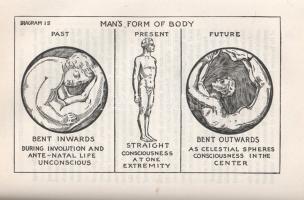 Heindel, Max

The Rosicruscian Cosmo-Conception or Mythic Christianity. An Elementary Treatise Upo...