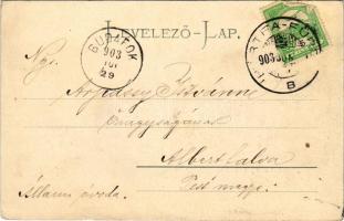 1903 Bártfafürdő, Bardejovské Kúpele, Bardiov, Bardejov; Erzsébet királyné forrás, Deák tér és száll...