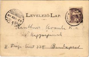 1901 Bártfafürdő, Bardejovské Kúpele, Bardiov, Bardejov; Ásványvízfürdők az Erzsébet királyné forrás...