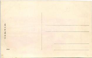 K.u.k. Kriegsmarine Baron Gautsch, S.M. Dampfer XVI, Metcovich, S.M. Seespitalschiff II, and Graf Wu...