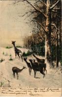 1905 Deer in the forest (EK)