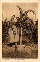 Riquewihr, Jolie Vendangeuse / French folklore, grape harvester (EK)