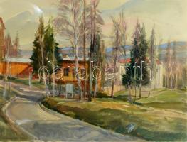 Udvary Pál (1900-1987): Tátrafüred. Akvarell, papír, jelzett, üvegezett fakeretben, 35×49 cm