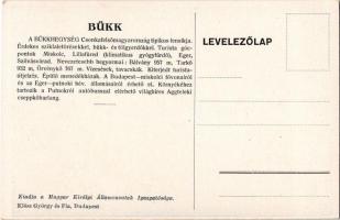 Lillafüred (Miskolc), Szépségével elbűvöl a vadregényes Bükk. A Magyar Királyi Államvasutak (MÁV) tu...