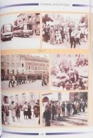 Szőnyegi Hajnalka: Ikarus szárnyai. Az Ikarus Székesfehérvári Gyárának mindennapjai. Emlékkönyve. Ma...