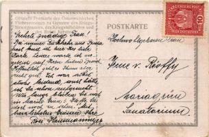 Einlaufen des österreichische ungarischen Spitalschiffes "WIEN" in den heimischen Hafen. K...