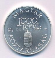 1995. 1000Ft Ag "Régi dunai hajók III - Hableány" kapszulában T:BU 
Adamo EM139