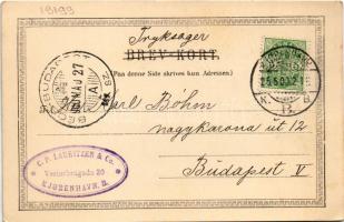 1900 Copenhagen, Kobenhavn; Tivoli / amusement park, street view, horse-drawn carriage (EK)