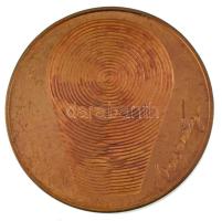 Lapis András (1942-) 1984. "Lecek - HNF / Vasarely" kétoldalas bronz emlékérem, tokban (42...