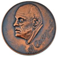 Szovjetunió 1989. "Andrej Szaharov / 1921-1989" Nobel-békedíjas fizikus kétoldalas bronz e...