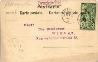 1900 Berner Oberland, Bernese Highlands; Staubbach waterfall. Carl Künzli Art Nouveau, floral, litho...