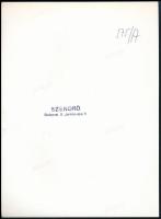 cca 1930-1940 Szendrő István (1908-2000): Repülőgépmodell-verseny, hátoldalon pecséttel jelzett fotó...