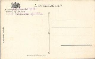 Budapest XIV. Állatkert, Chapmann zebrák. A székesfővárosi állatkert kiadása 28. sz