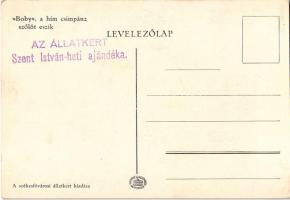 Budapest XIV. Állatkert, Boby a hím csimpánz szőlőt eszik. A székesfővárosi állatkert kiadása