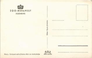 Budapest XIV. Állatkert, Zoo Budapest, Jegesmedvék. Hölzel Gyula felvétele (EK)