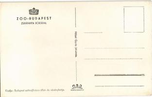 Budapest XIV. Állatkert, Zoo Budapest, Zsiráfanya borjával. Hölzel Gyula felvétele