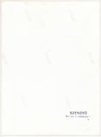 cca 1930-1940 Szendrő István (1908-2000): Koronaőr puskával, hátoldalon pecséttel jelzett fotó, 23×1...