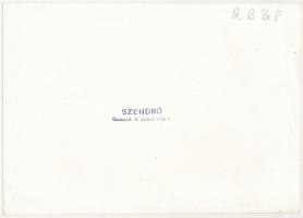 1945 Szendrő István (1908-2000): Felrobbantott híd a Dunán (Bp. Soroksár), hátoldalon pecséttel jelz...