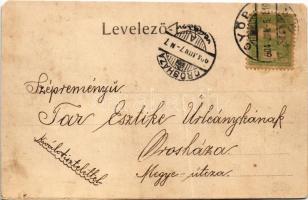 1904 Győr, M. kir. selyemfonó gyár. Röszler Károly kiadása (r)
