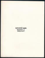1945 Szendrő István (1908-2000): Budapest, a szétlőtt Erzsébet híd, hátoldalon pecséttel jelzett fot...
