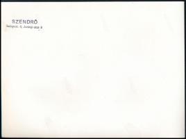 cca 1930-1940 Szendrő István (1908-2000): Egyházi szertartás cigányoknak, hátoldalon pecséttel jelze...