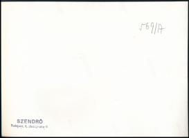 cca 1930-1940 Szendrő István (1908-2000): Siófoki fürdőélet, Caola reklám, hátoldalon pecséttel jelz...