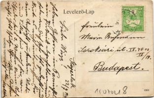 1916 Stájerlak, Steierlak, Stájerlakanina, Steierdorf, Anina; Panur völgy. Hollschütz kiadása / vall...