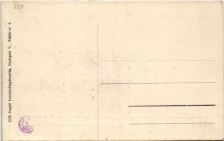 Dálya, Dalja, Dalj; Duna híd. Vasúti levelezőlapárusítás 2599. / Danube bridge (r)