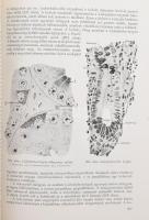 Törő Imre: Szövettan. (DEDIKÁLT). Bp., 1958, Medicina. Számos fekete-fehér és színes illusztrációval...