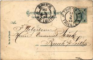 1903 Trieste, Piazza Giuseppina / port (EK)