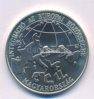 1993. 500Ft Ag "Integráció az EU-ba-ECU" kapszulában T:BU Adamo EME34