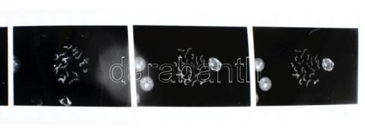 10 db fotótasak vegyes negatívokkal