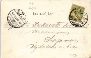 1904 Budapest XIV. Városliget, Wampetics F. vendéglője, kert pincérekkel