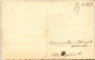 1939 Tisza, Tiszaparton delelő tehenek. photo (fl)