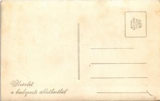 Budapest XIV. Állatkert, gyerekhintó pónival. photo (fl)