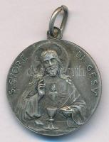Vatikán DN "XI. Piusz / Jézus szent szíve" ezüstözött bronz vallási medál füllel (25mm) T:...