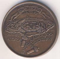 1988. "MÉE - Székesfehérvár - törökök kivonulásának 300. évfordulója" Br emlékérem T:2