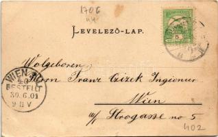 1901 Budapest XIII. Vígszínház. Ganz Antal 98. (EB)