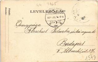 1907 Visegrád, kirándulók a várban (EK)