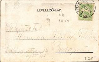 1907 Budapest III. Rómaifürdő, Római fürdő nagyvendéglő, étterem kertje (fl)