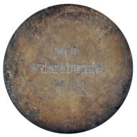 Pankotai Farkas Béla (1885-1945) 1944. "Repülni Hívom a Magyar Ifjúságot" egyoldalas, bron...