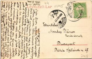 1906 Aszód, Ágostai evangélikus egyházkerület leánynevelő intézete. W.L. 919. (EK)