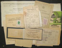 Vegyes kis okmánytétel, benne: polgári személyi lap, partizánbarátok szövetség tagságija, szülészeti igazolvány, ..