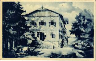 Csízfürdő, Kúpele Cíz; villa. Schneller bazár kiadása