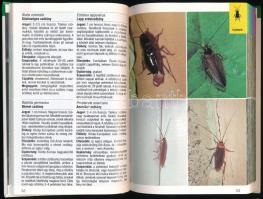 Helgard Reichholf-Riehm: Rovarok és pókszabásúak. Természetkalauz. Bp., 1997, Magyar Könyvklub. Kiad...