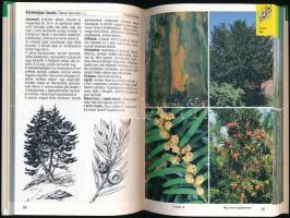 Bruno P. Kremer: Fák. Természetkalauz. Bp., 1995, Magyar Könyvklub. Kiadói kartonált papírkötés