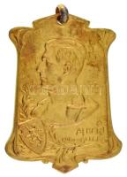 Belgium 1926. Albert király / Santé Royale les Fellahs Philanthropie 40. évfordulója 1886-1926 aranyozott plakett füllel (50x66mm) T:XF Belgium 1926. King Albert / Santé Royale les Fellahs Philanthropie 40th Anniversary 1886-1926 gilt plaque with ear (50x66mm) C:XF