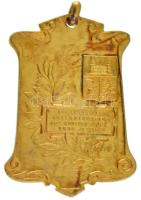 Belgium 1926. "Albert király / Santé Royale les Fellahs Philanthropie 40. évfordulója 1886-1926...