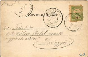 1904 Budapest XXIII. Soroksár, Tündérliget vendéglő, étterem kertje vendégekkel és pincérrel (EK)