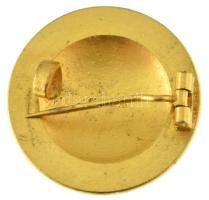 DN fehér alapon kék keresztet ábrázoló, zománcozott, aranyozott jelvény "Sporrongs" gyártó...